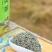 2025新茶信阳特产毛尖花香粟香花果香全芽500g代发