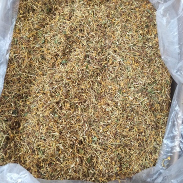 正宗深山野生金银花金银花茶