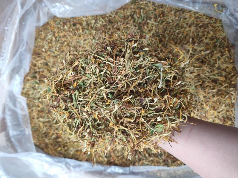 正宗深山野生金银花金银花茶