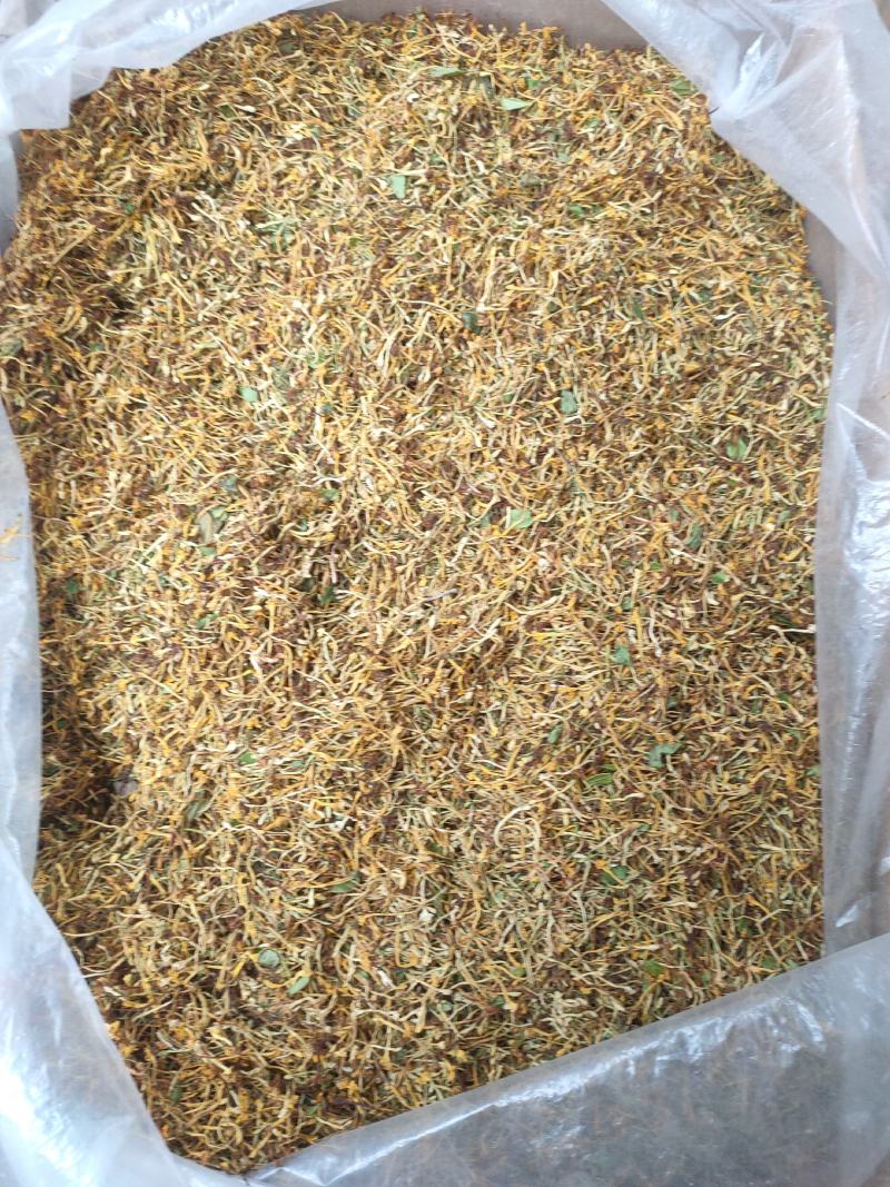 正宗深山野生金银花金银花茶