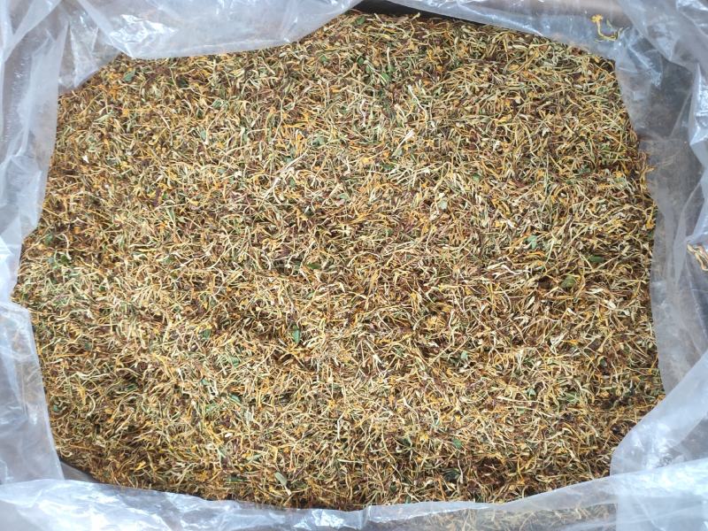正宗深山野生金银花金银花茶