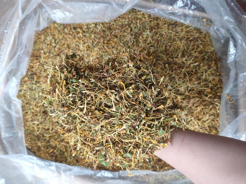 正宗深山野生金银花金银花茶
