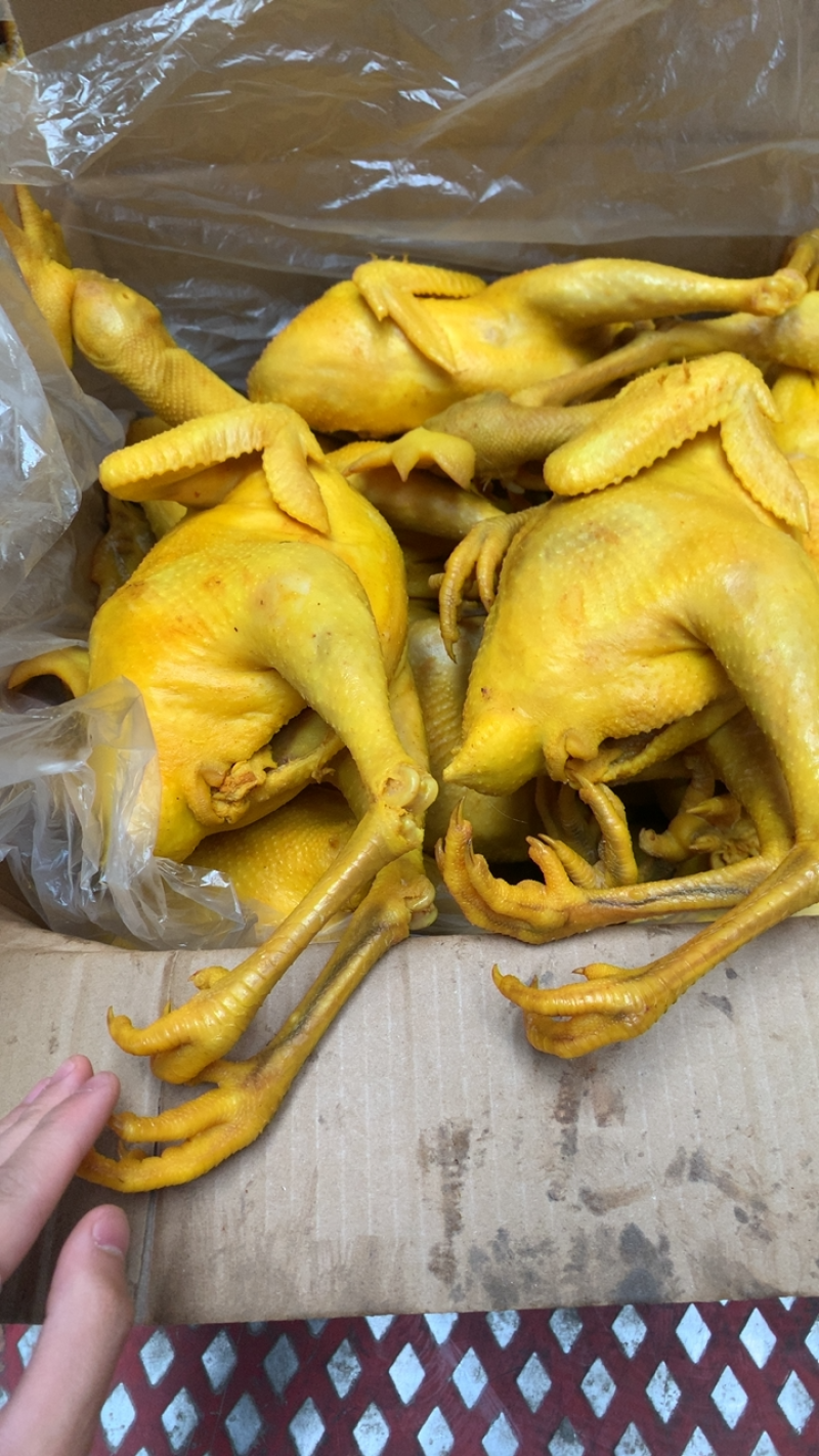 盐焗鸡腿，盐焗鸡翅，盐焗鸡，盐焗鸡全翅，