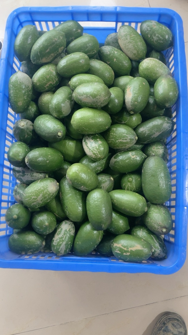 台湾香水无子柠檬