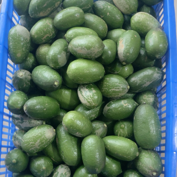台湾香水无子柠檬