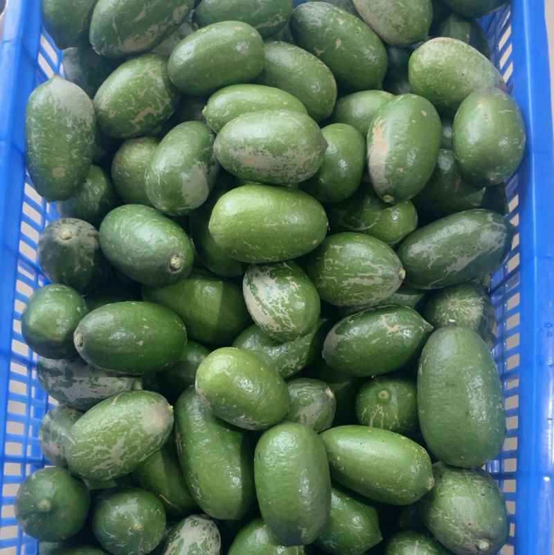 台湾香水无子柠檬