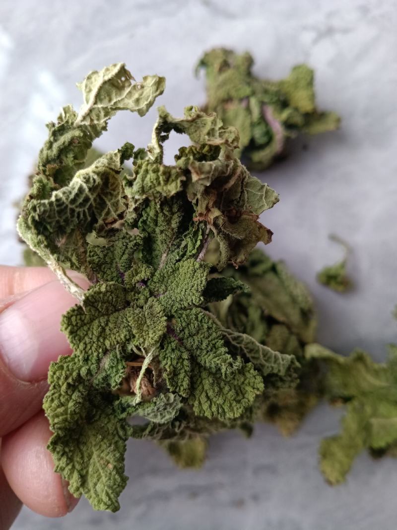 蛤蟆草中药材荔枝草癞蛤蟆草咽喉500g新货无硫