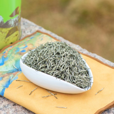 2025新茶信阳特产毛尖花香粟香花果香全芽500g代发
