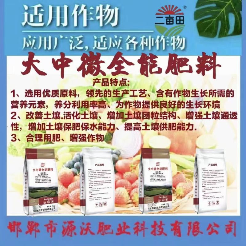 大中微全能肥料（含镁型）硝态氮水溶钙水溶镁活化土壤