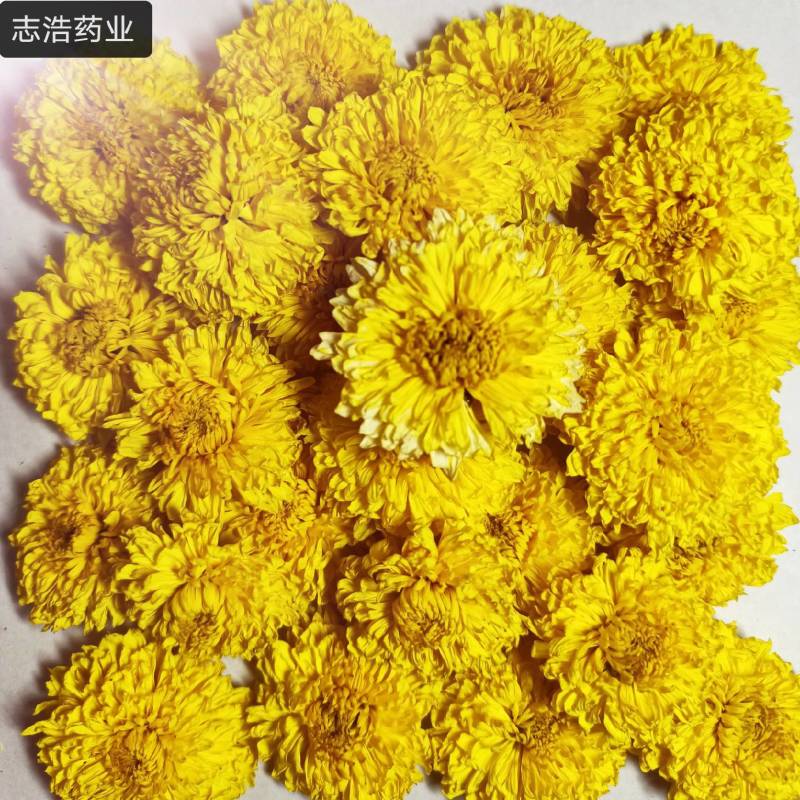 甜叶菊正品甜叶菊甜叶菊茶批发各种中药材养生花茶