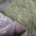 【志浩药业】陈皮陈皮丝无硫新货各种养生花茶中药材批发