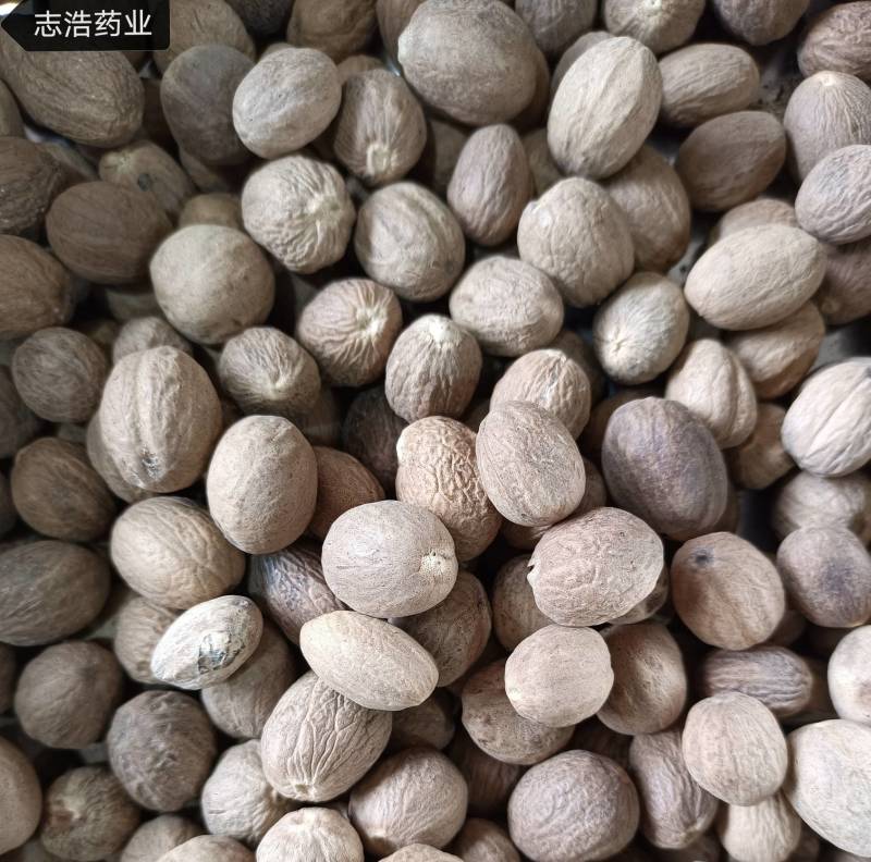 决明子草决明产地直销量大从优地道药材诚信经营