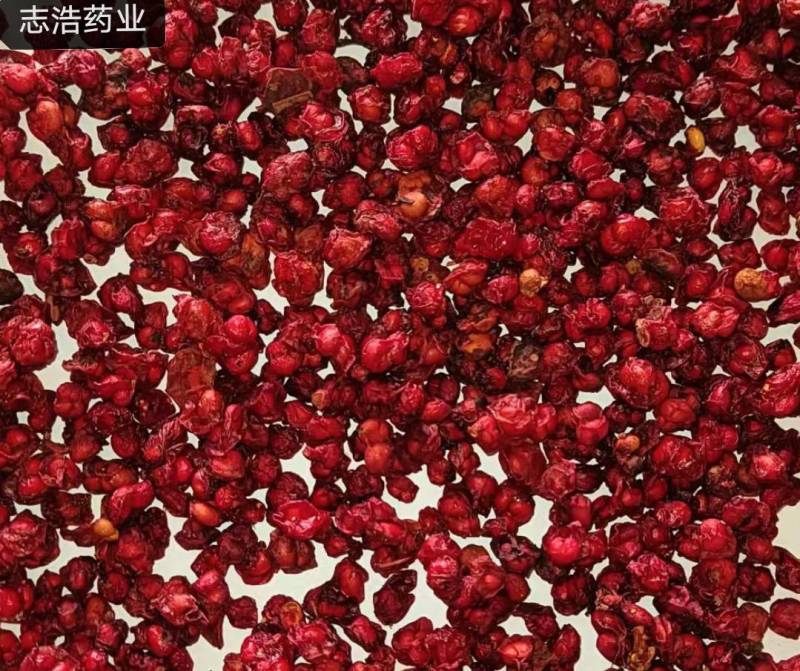 决明子草决明产地直销量大从优地道药材诚信经营