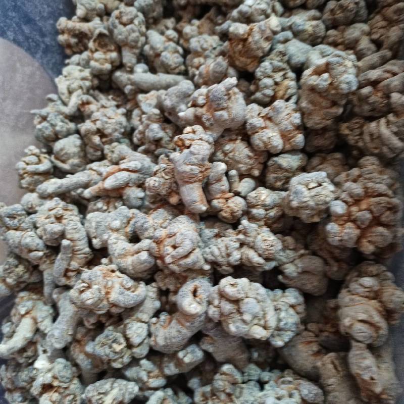 柠檬柠檬干中药材柠檬干片产地直销量大从优