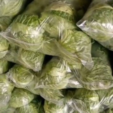 精品甘蓝，大量上市，产地直供，欢迎致电联系。