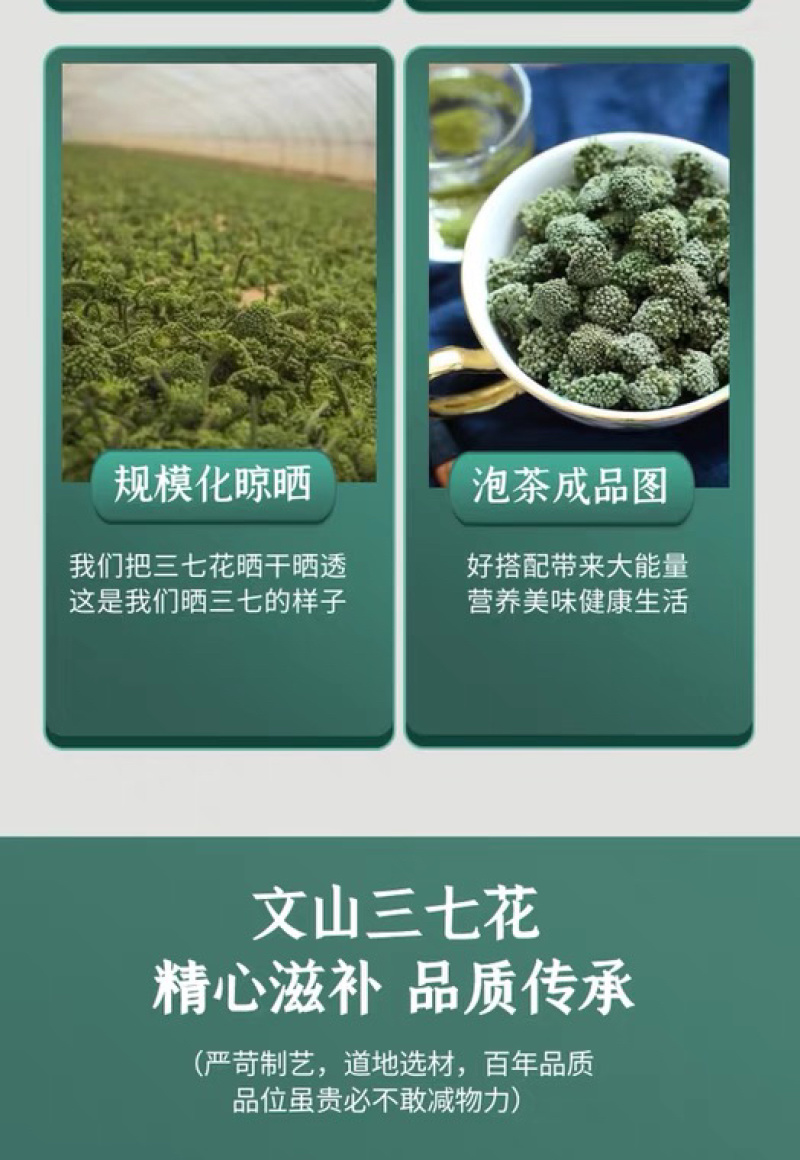 三七花茶云南文山三七花田七花特级四年生三七花