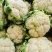 【推荐】白花菜，花白紧实，叶少根小，质优价廉，一手货源