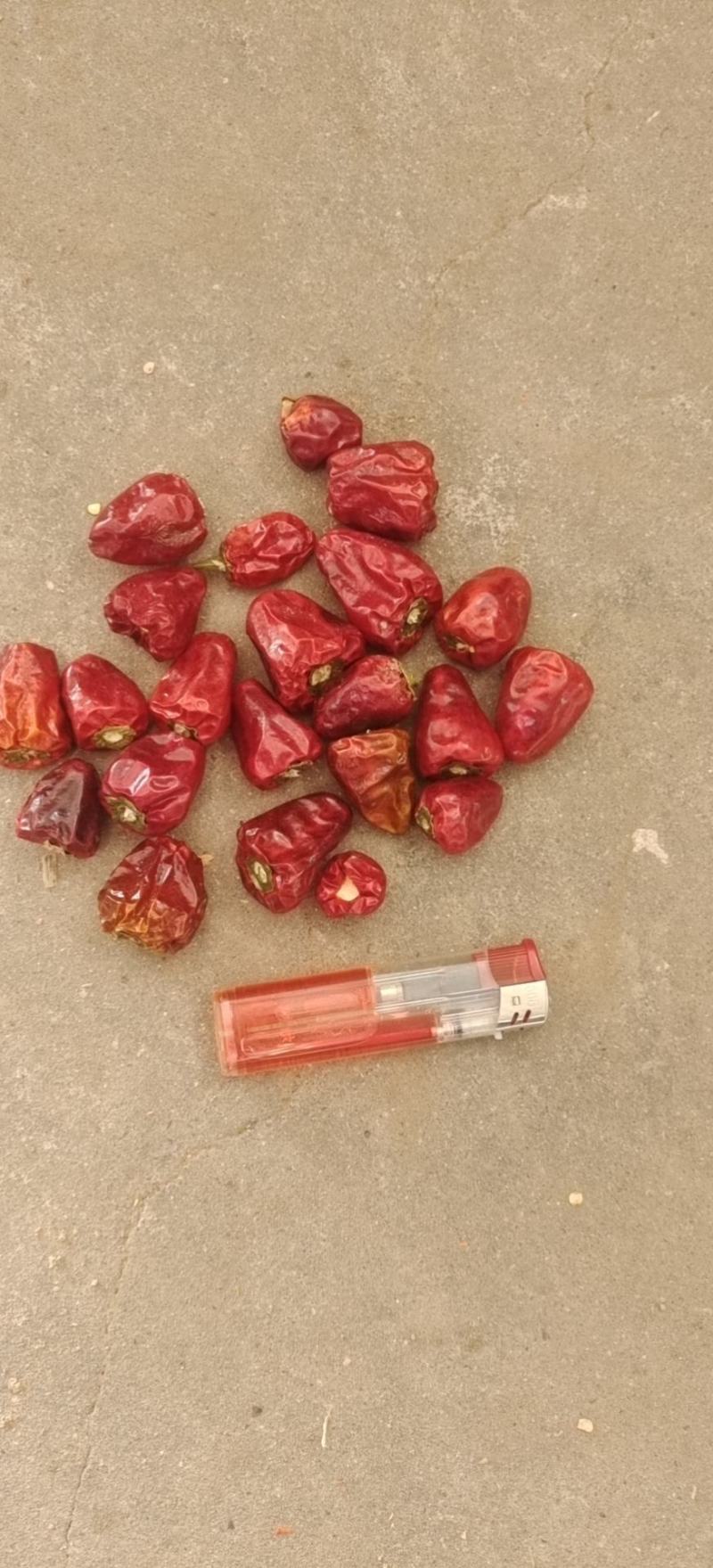 可供电商辣椒粉，辣椒面，辣椒片，微辣辣椒片，高辣辣椒片