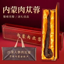 包邮内蒙古阿拉善野生肉苁蓉单根200克大芸50厘米礼