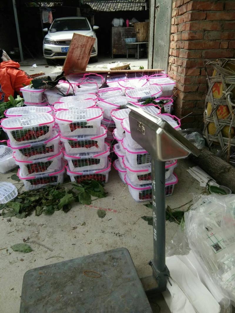 一手货源，新鲜量大，一代发，代购，精品好货，欢迎您