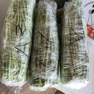 【精品芦篙】诚信商家地头直销去根去叶新鲜现摘品质佳