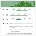 小叶赤楠盆栽植物室内茶桌办公室阳台桌面迷你盆景招财好养活