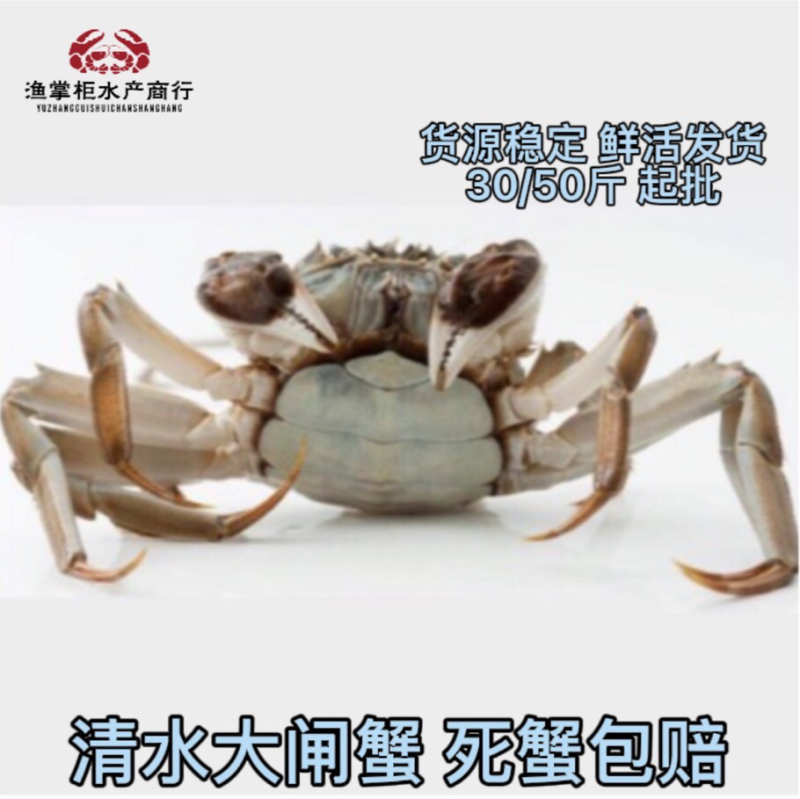 湖北洪湖清水大闸蟹135母18母2母25母28母量大从优