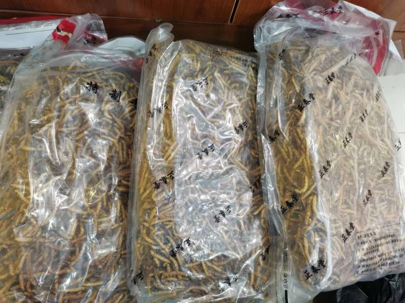 特别产区大货专拍，仅供大货专拍，此链接不接受零拍客户