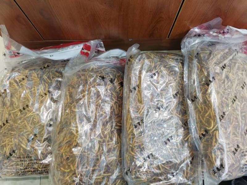 特别产区大货专拍，仅供大货专拍，此链接不接受零拍客户