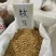 牧马山地瓜凉茹种子早熟地瓜水果地瓜沙葛凉薯土瓜种籽蔬菜种