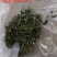 穿心莲无公害完全达到药典含量放心购买，质量保证常年供货