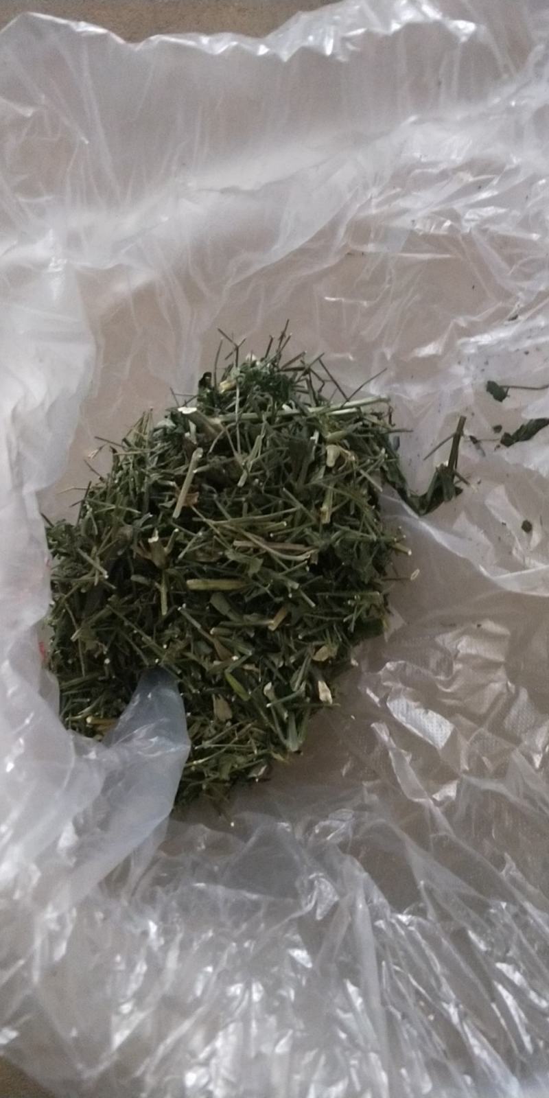 穿心莲无公害完全达到药典含量放心购买，质量保证常年供货