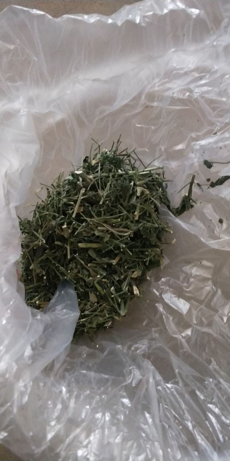 穿心莲无公害完全达到药典含量放心购买，质量保证常年供货