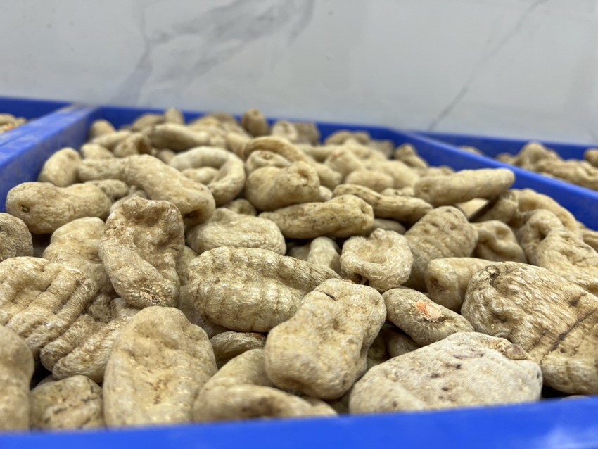 科研实拍:芝麻素苷(Sesamoside)标准品HPLC检测现场。移液枪精准移取0.5mg/mL芝麻素苷水溶液至离心管;背景HPLC仪器屏幕显示单一尖锐色谱峰(保留时间12.4分钟),证明高纯度与良好分离效果,印证其作为苦味主因的化学确证 实验室场景:手持移液枪正向离心管中加入透明水溶液(含提取自生芝麻的芝麻素苷标准品),管壁标注“Sesamoside 0.5mg/mL”,背景为HPLC高效液相色谱仪显示屏,显示清晰单一峰(保留时间12.4min),操作台铺蓝色无菌垫