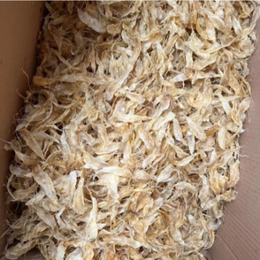【精品】黄花鱼鱼胶又称豆仁胶