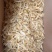 【精品】黄花鱼鱼胶又称豆仁胶