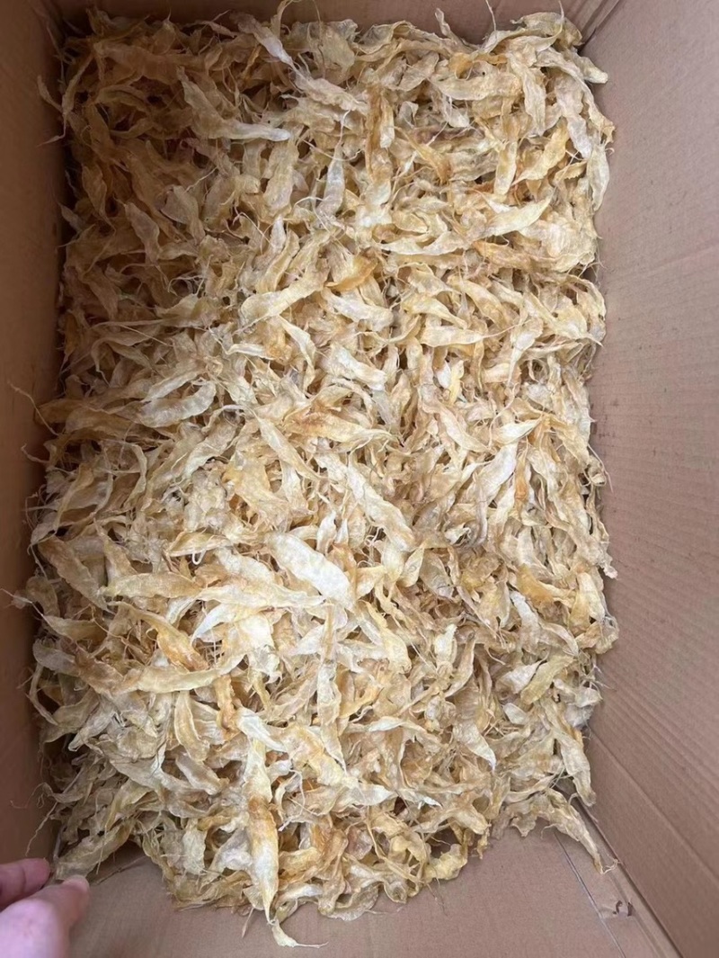 【精品】黄花鱼鱼胶又称豆仁胶