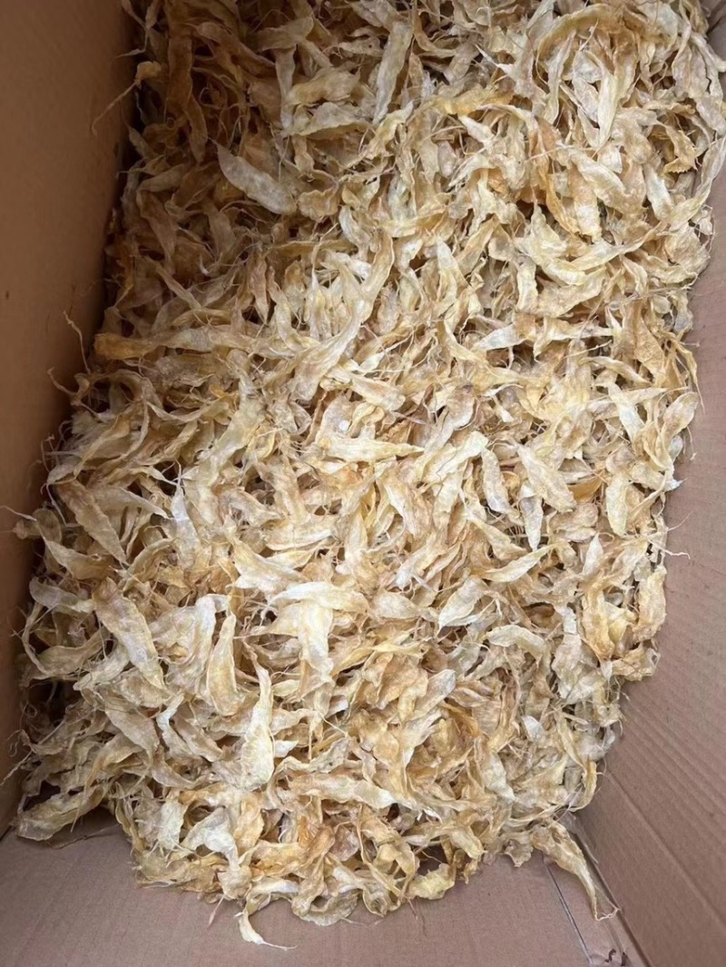 【精品】黄花鱼鱼胶又称豆仁胶