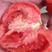 普罗旺斯西红柿皮薄沙瓤水果精品礼盒整车团购落地配产地直发