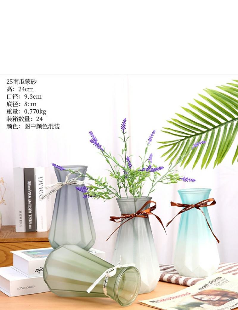 欧式玻璃花瓶创意简约透明水培绿萝植物干花瓶客厅插花桌面摆