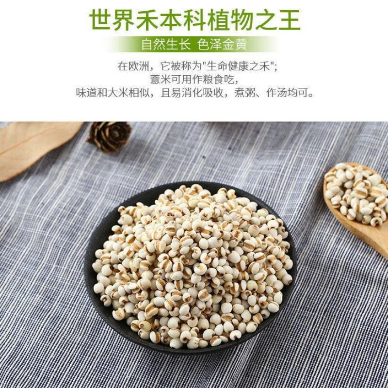 中药材贵州小薏米仁薏苡仁薏仁包邮1000克包邮