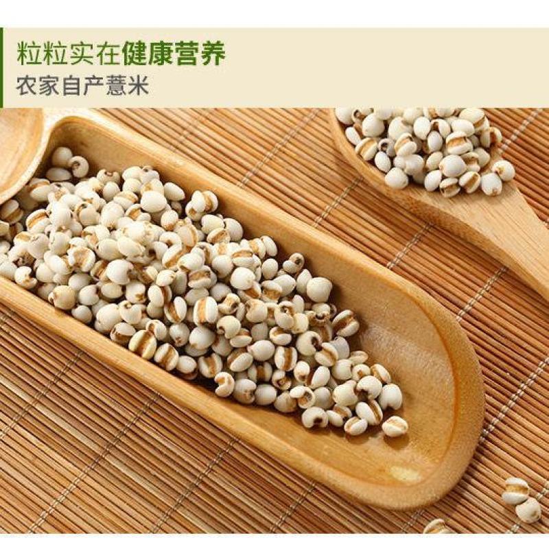 中药材贵州小薏米仁薏苡仁薏仁包邮1000克包邮