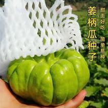 云南姜柄瓜种子香甜味小南瓜种孑高产春季四季蔬菜种子