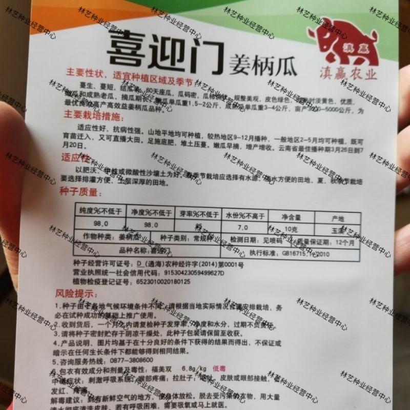 云南姜柄瓜种子香甜味小南瓜种孑高产春季四季蔬菜种子