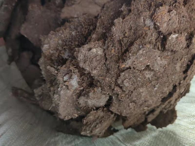广东鸡粪常年有货供应质量保证诚信经营有需要的可以提前联系