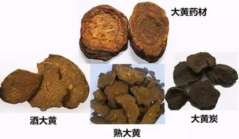 大黄家种大黄产地四川省大统货新鲜干货无硫