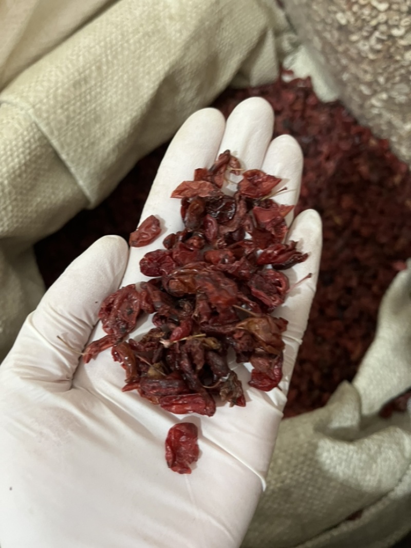 特级山茱萸高品质无硫新货温助肾阳泡酒料产地直销