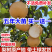 嫁接梨树苗果树苗翠冠梨黄金梨南方北方种植盆栽地栽当年结果