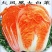 火凤凰大白菜的种子杂交白菜种子大全北方特红特嫩农家庭院菜