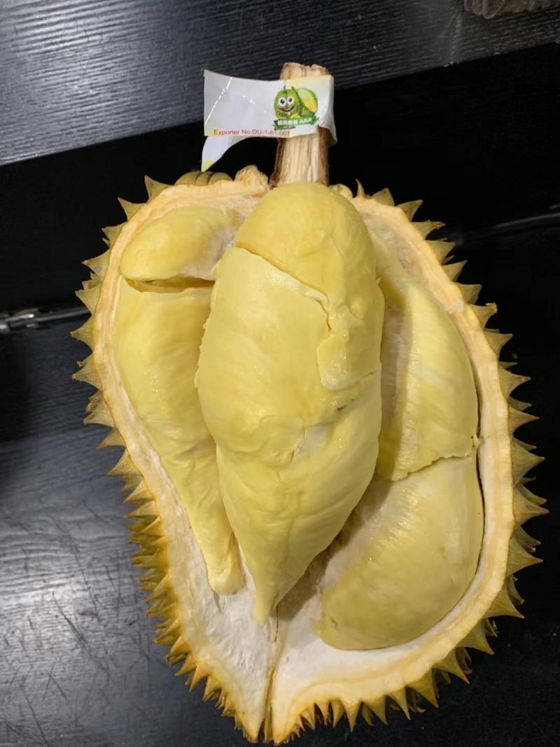 新鲜泰国金枕榴莲，甲仑，拖曼尼，猫山王榴莲，批发一件代发